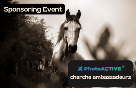 PhotoACTIVE au pôle international du cheval Longines-Deauville
