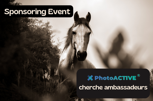 PhotoACTIVE au pôle international du cheval Longines-Deauville