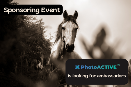 PhotoACTIVE is looking for ambassadors at Longines-Deauvilles
