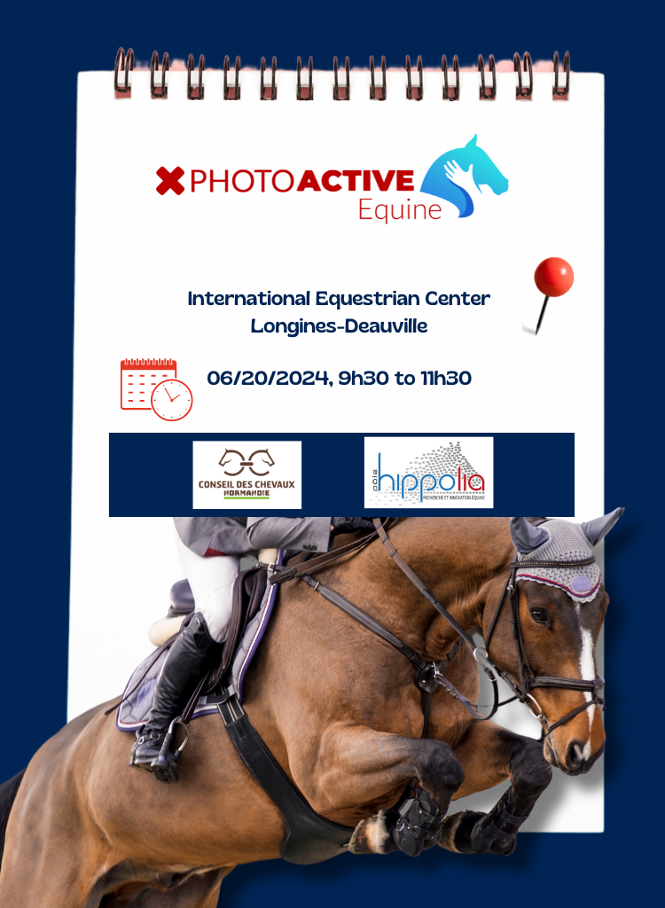 PhotoACTIVE at the Longines-Deauville International Equestrian Center