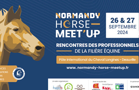 Normandy Horse Meet Up